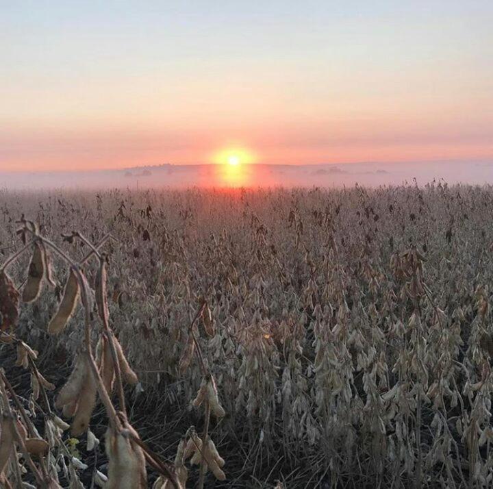 La Vista Farm Stay 埃尔默洛 外观 照片